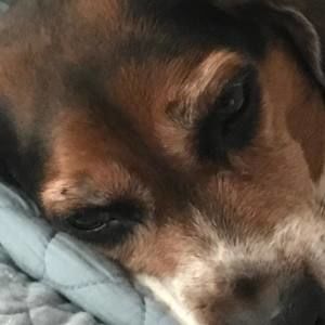 Meet your Posher, Kelli